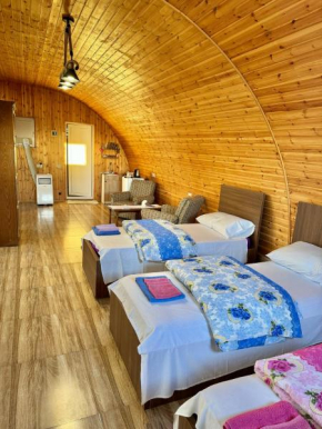 Guest House AMO